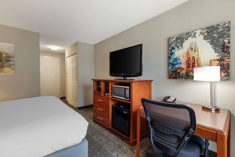 Standard Room, 1 King Bed, Non Smoking, Refrigerator & Microwave - Photo 2