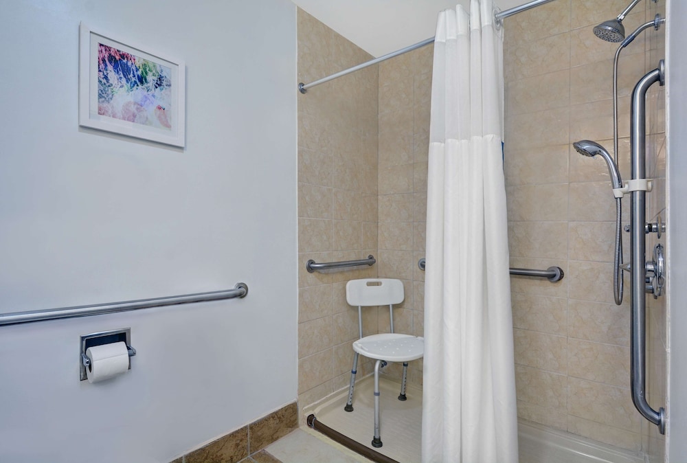 Room, 1 King Bed, Accessible, Non Smoking (Roll-In Shower) - Photo 1