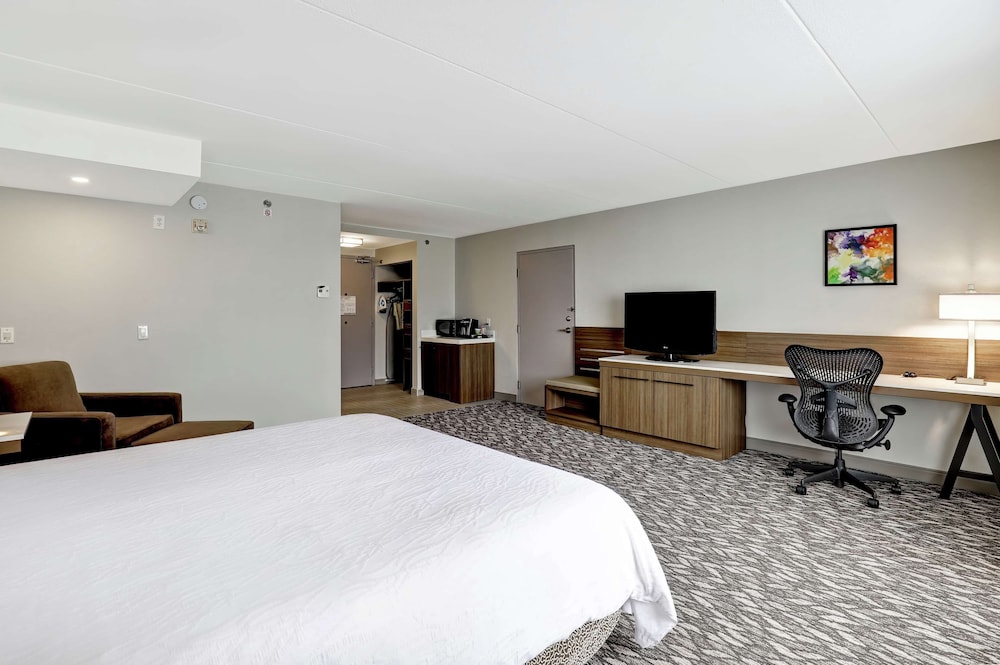 Room, 1 King Bed, Accessible