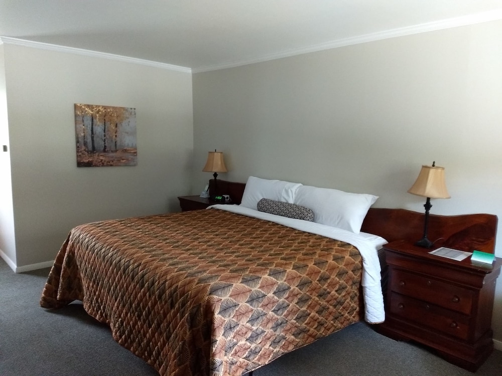 Standard Room, 1 King Bed, Mountain View