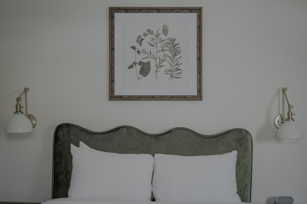 Deluxe Single Room, 1 Queen Bed photo 1