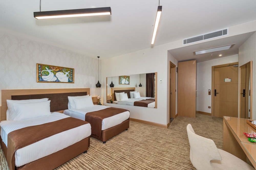 Standard Double or Twin Room, City View photo 3