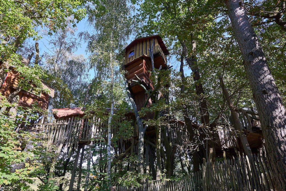 Comfort Tree House photo 2