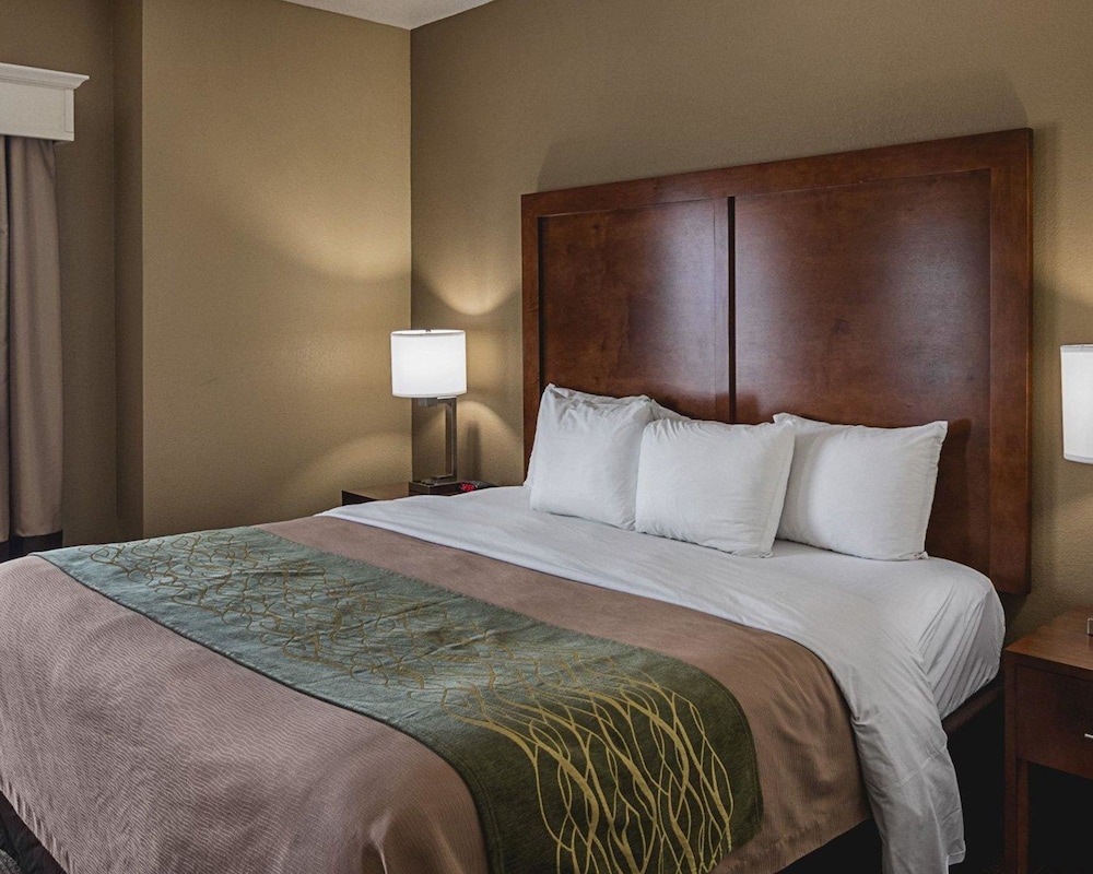 Suite, 1 King Bed with Sofa bed, Non Smoking photo 3