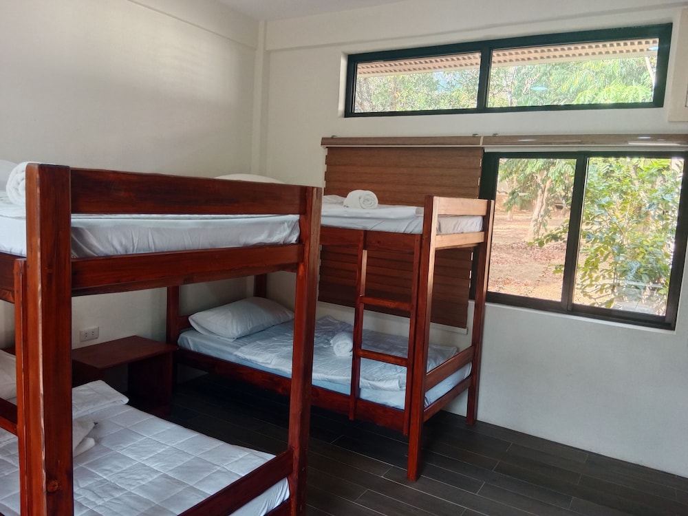 Basic Shared Dormitory photo 2