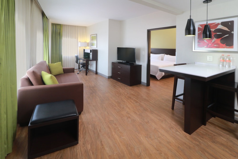 Suite, 1 Bedroom, Kitchen (Single Sofa) photo 1