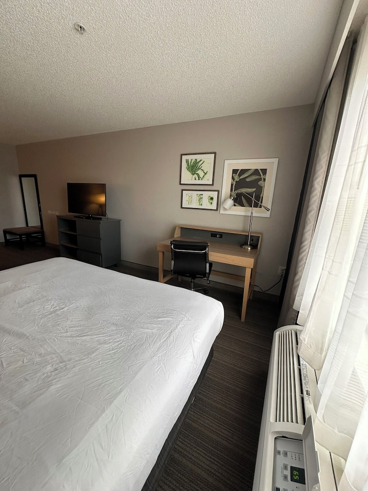 Deluxe Studio Suite, 1 King Bed, Non Smoking photo 1