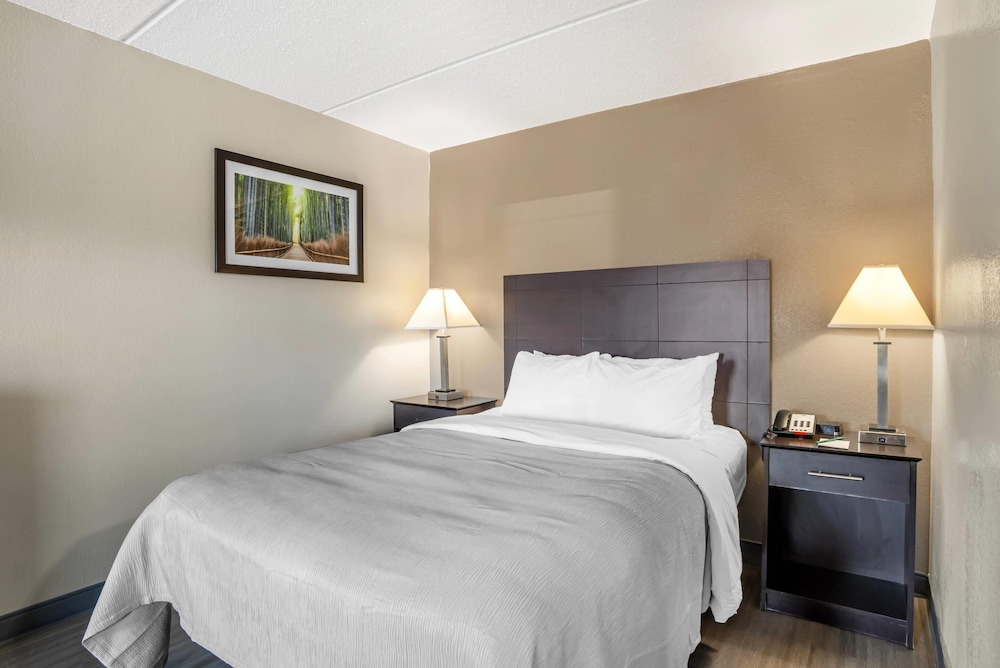 Suite, 1 King Bed with Sofa bed, Non Smoking (Efficiency, Upgrade) - Photo 3