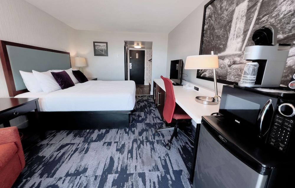 Ocean View Room, 1 King Bed (Sleeps 2)