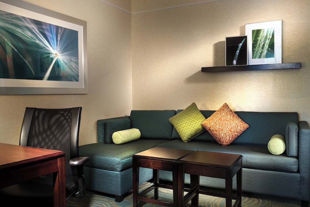 Suite, 1 King Bed with Sofa bed (Hearing Accessible) photo 2