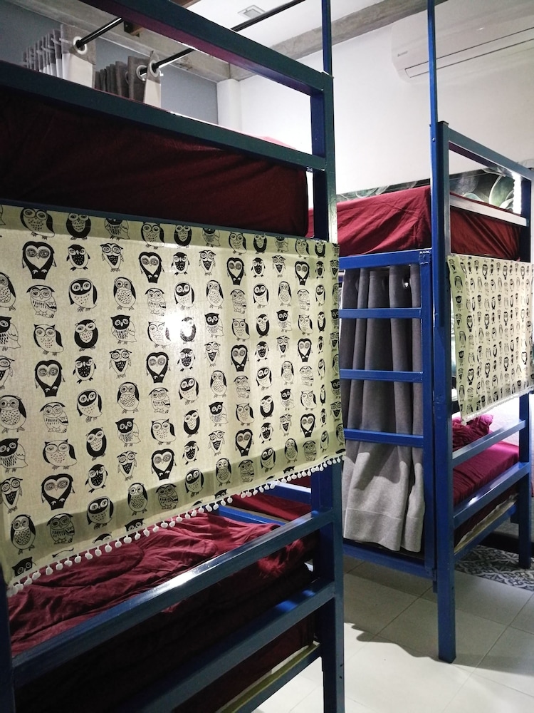 8-Bed Mixed Dormitory photo 1