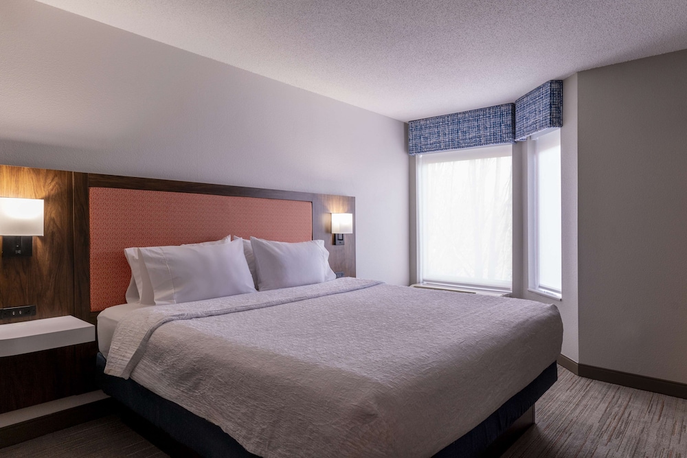 Suite, 1 King Bed, Accessible, Non Smoking - Photo 2
