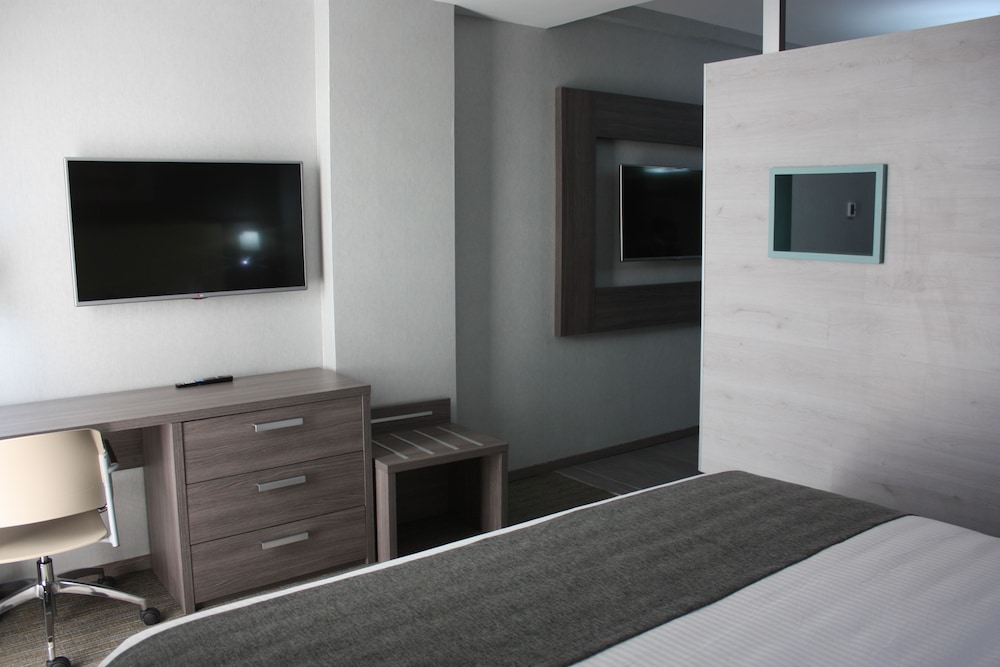 Room (Suite) photo 2
