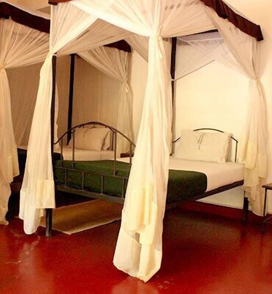 Basic Twin Room photo 2