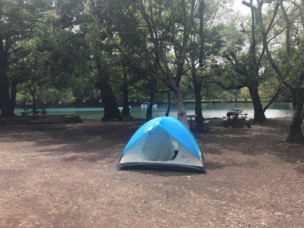 Tent, Multiple Beds photo 1