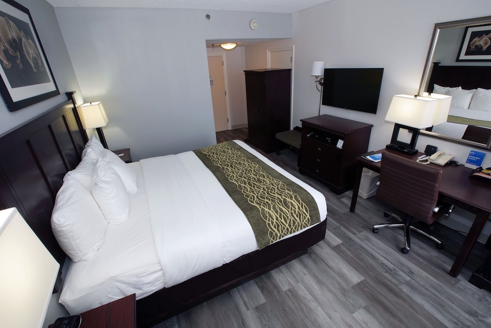 Standard Room, 1 King Bed, Non Smoking, Refrigerator & Microwave - Photo 6