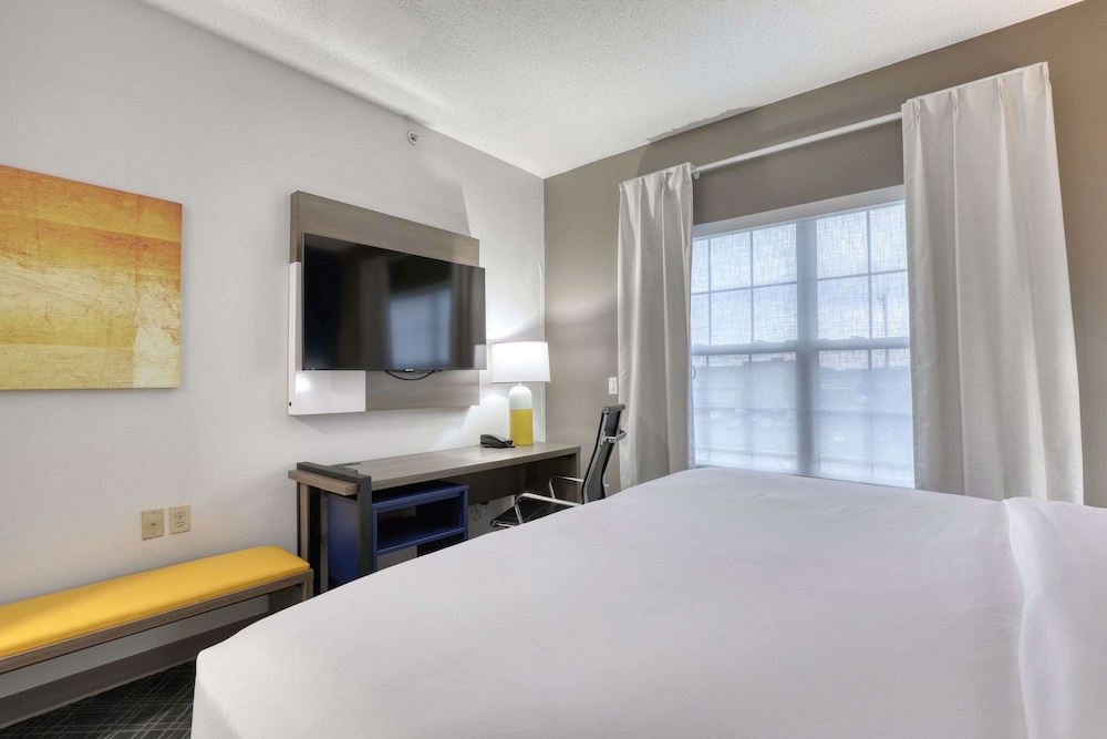 1 King Bed