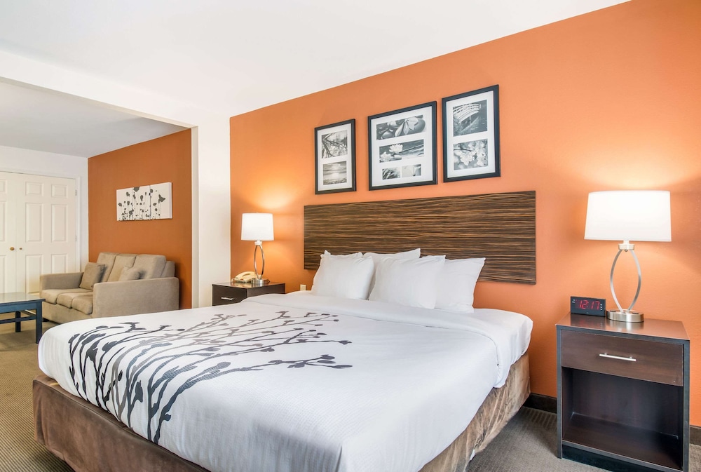 Room, 1 King Bed, Accessible, Non Smoking