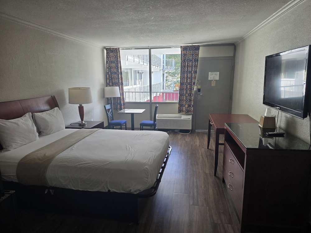 Standard Double Room - Photo 1