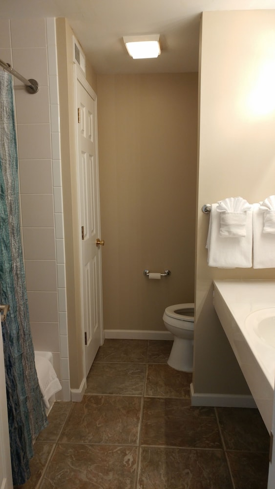 Deluxe Suite, 1 King Bed with Sofa bed, Non Smoking, Patio photo 3