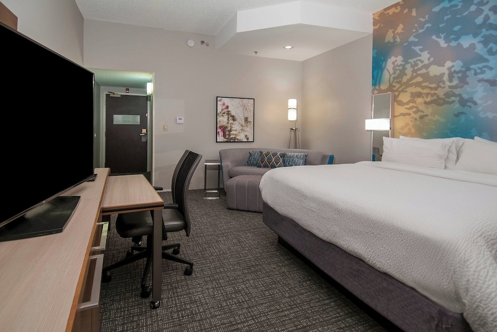 Room, 1 King Bed with Sofa bed (Mobility Accessible, Tub) photo 1