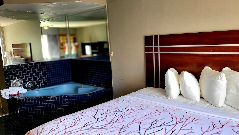 Exclusive Room photo 2