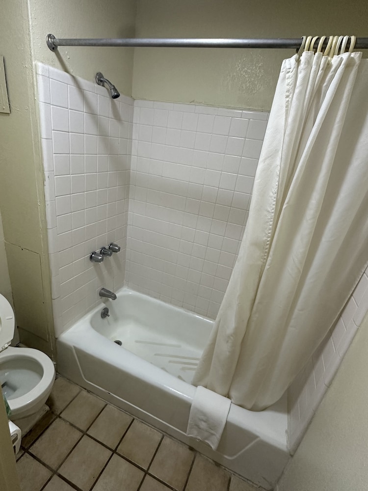 Basic Single Room photo 3