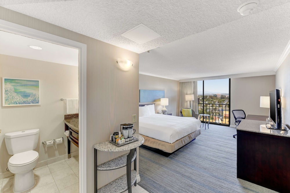 1 King Bed, Mobility Accessible, Roll In Shower - Photo 9