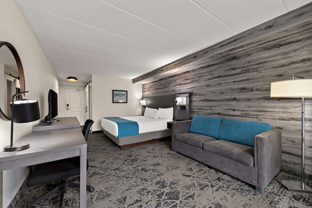Standard Room, 1 King Bed, Non Smoking, Balcony (Walk-in Shower;with Single Sofabed) - Photo 1