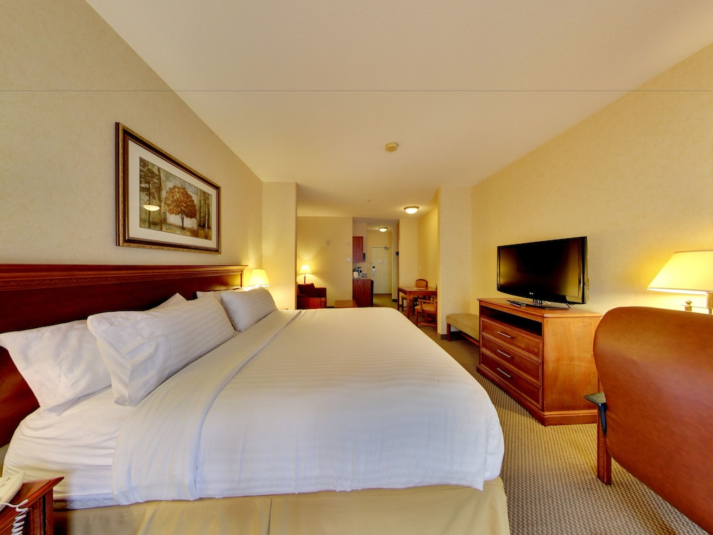 Suite, 1 King Bed - Photo 1