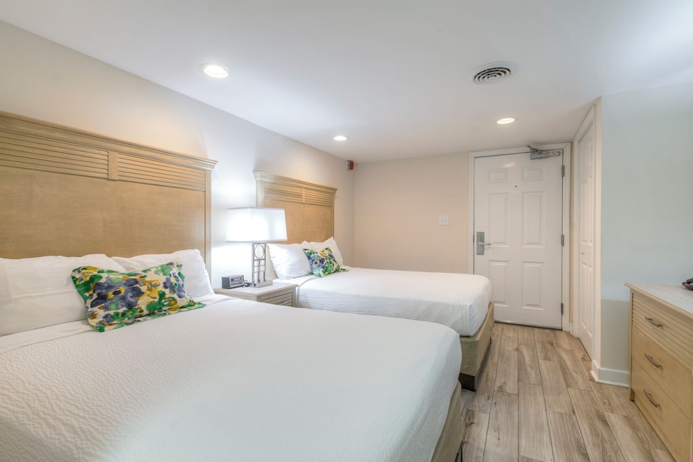 Basic Room photo 3