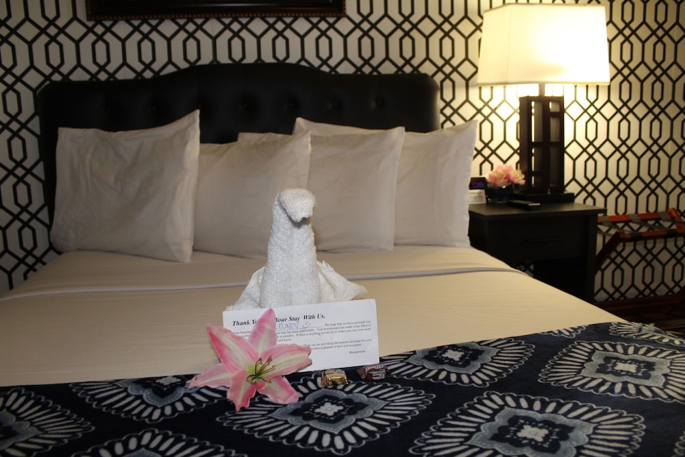 Basic Single Room, 1 Queen Bed photo 2