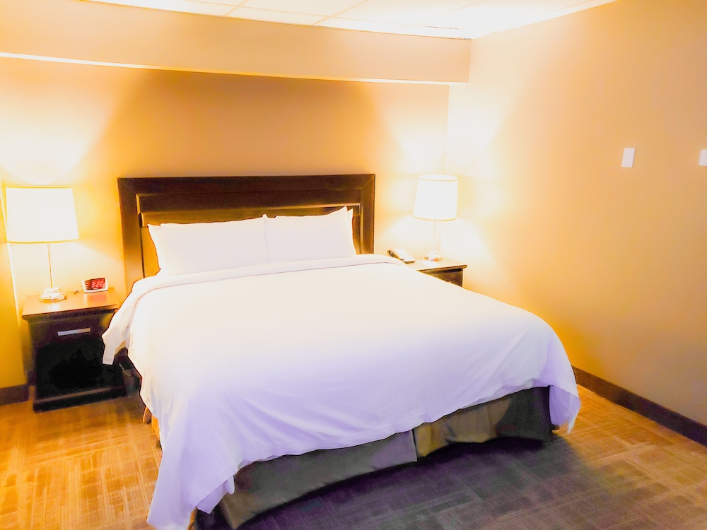 Standard Room - Photo 3