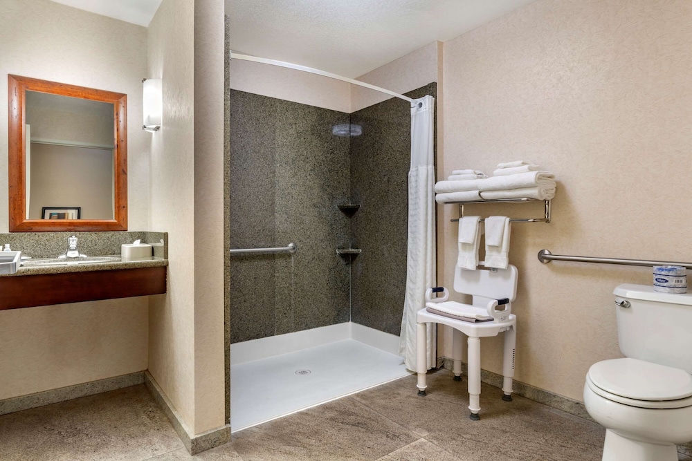Suite, 1 King Bed with Sofa bed, Accessible, Non Smoking photo 2
