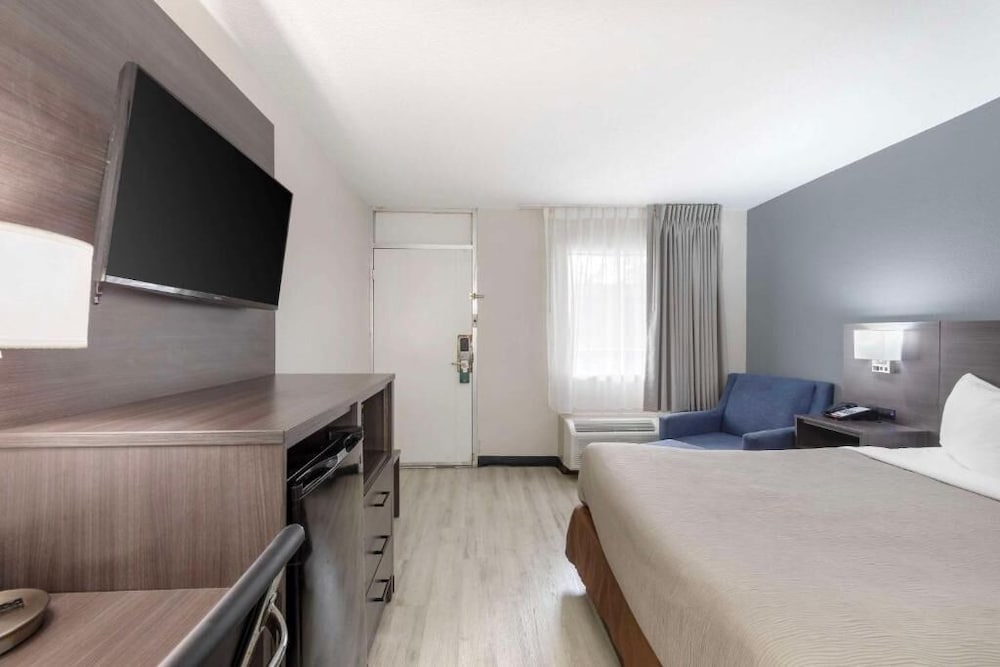 Standard Room, 1 King Bed with Sofa bed, Non Smoking - Photo 3