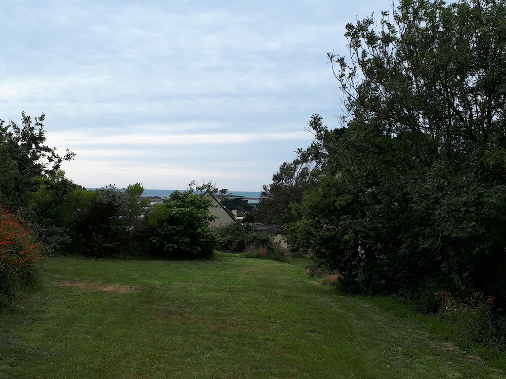 Basic Tent, Ocean View, Garden Area photo 1