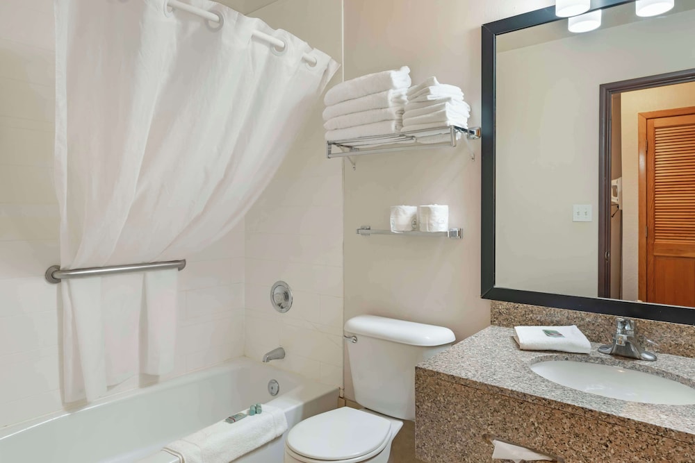 Standard Room, 1 King Bed, Non Smoking, Refrigerator & Microwave (1st Floor) - Photo 4