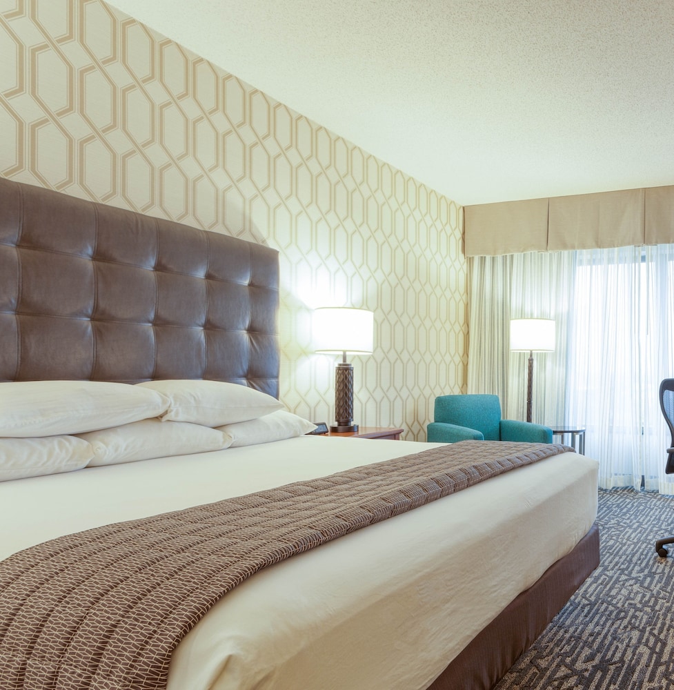 Suite, 1 King Bed with Sofa bed, Accessible, Refrigerator & Microwave (2 Rooms, Roll in Shower) - Photo 2