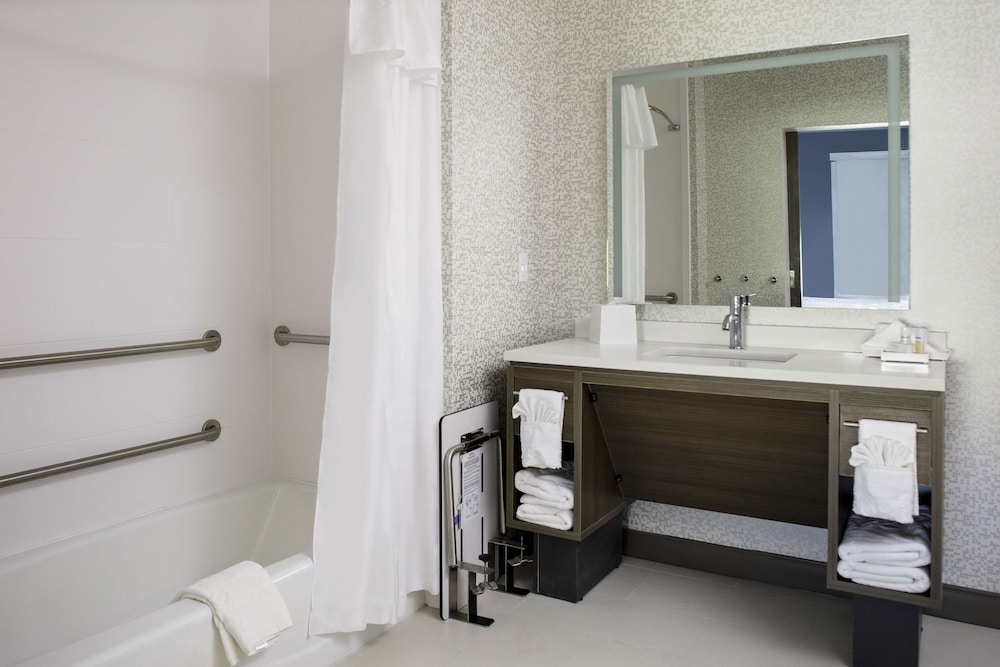 Suite, 1 King Bed, Accessible, Non Smoking (Roll-In Shower) - Photo 6