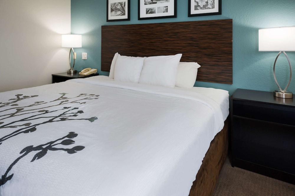 Room, 1 Queen Bed, Accessible, Non Smoking