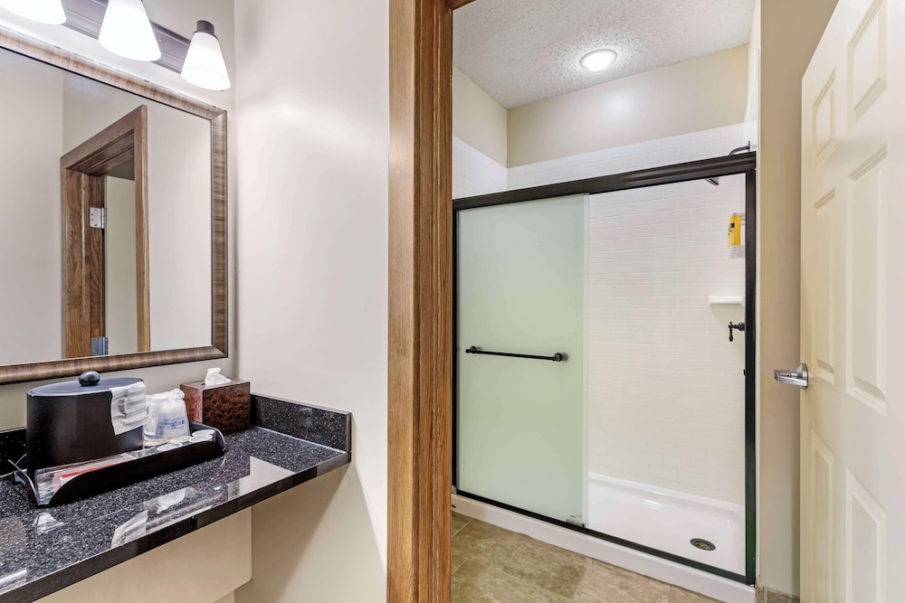 Standard Room, 1 King Bed, Non Smoking, Refrigerator & Microwave (Shower Only) photo 3