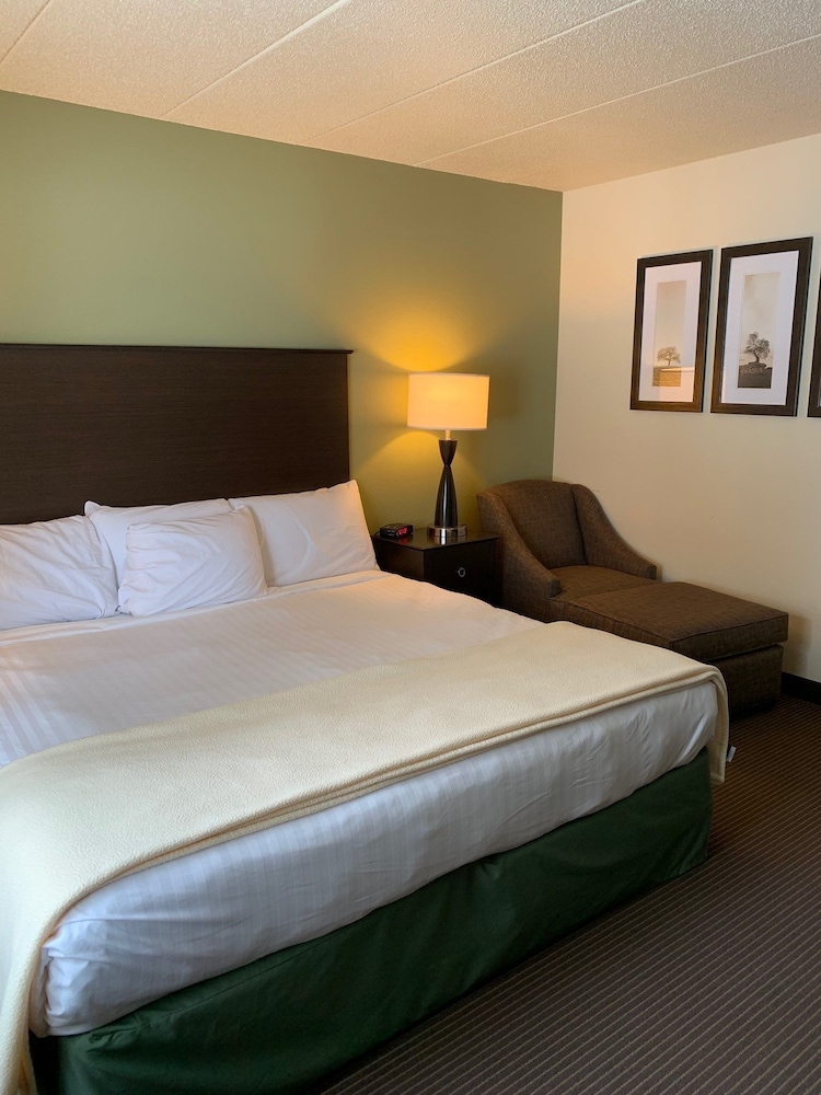 Room, 1 King Bed, Accessible, Non Smoking (Mobility Accessible) photo 2