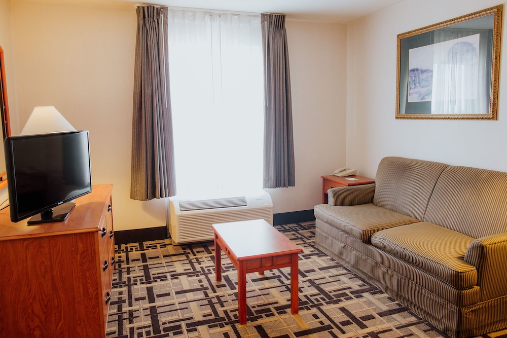 Suite, 1 Bedroom - Photo 4
