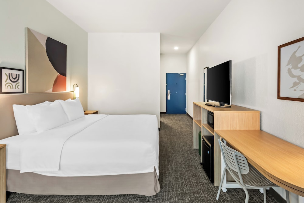 Room, 1 King Bed, Accessible (Mobility & Roll-In Shower) - Photo 3