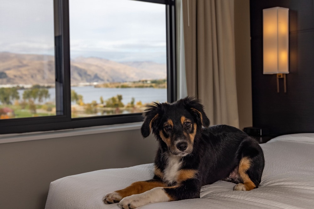 Suite, 1 Bedroom - Photo 8