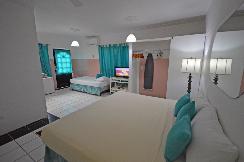 Standard Room, 1 King Bed, Garden View photo 2