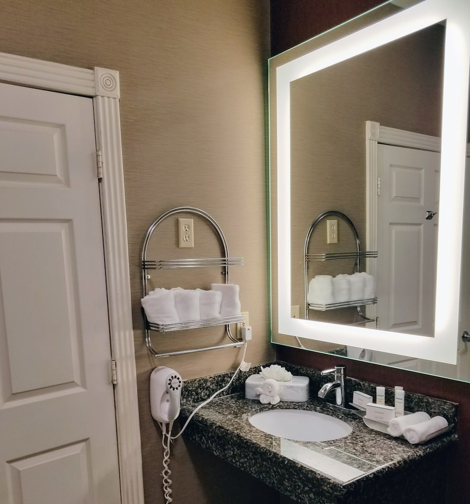 Suite, 1 King Bed, Accessible, Non Smoking (Roll-in shower) - Photo 20