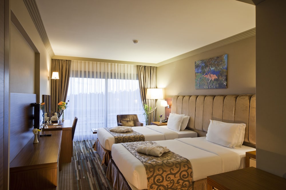 Executive Room photo 3