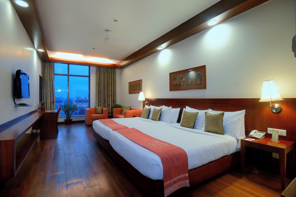 Superior Suite photo 3