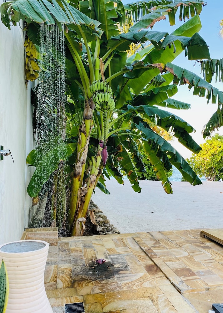 Luxury Villa, Patio, Sea View photo 3